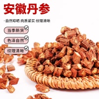 同仁堂五福茶暗藏何种养生智慧？一杯茶饮中竟蕴含传统养生精髓，开启健康生活新方式，快来探寻其中奥秘