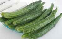 多吃黃瓜對身體有好處嗎？科學解析黃瓜的營養(yǎng)與健康價值