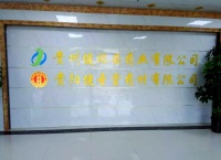 番石榴葉的多重健康功效與詳細(xì)用途