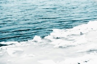 如何在7天內(nèi)腰圍減10cm：5個(gè)健康減脂方法，告別內(nèi)臟脂肪堆積