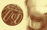 改善肠道健康，就照这五个方面、做好就好了！