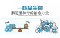 全面解析：益生菌的八大作用与八大功效