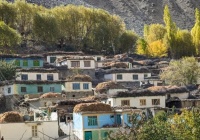 一些实用的健康养生小知识，帮助提高抵抗力，保持健康生活方式