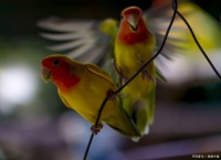 生活方式的小改变，怎样带来健康生活的大不同