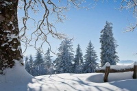 全民健身活动广泛开展 健康生活方式深入人心