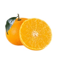 体验春天的味道：泰汇爱媛38号果冻橙，让健康与美味同行！