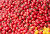 减肥好搭子！这个水果低卡高纤还美味，多吃不怕胖