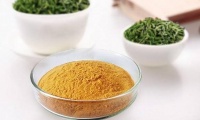 2023年茶类成分产品大增，茶缘何成护肤新宠？功效超给力