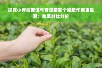 探究小青柑普洱与普洱茶哪个减肥作用更显著：效果对比分析