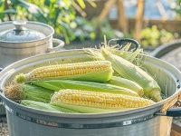 玉米糁再成焦点！医生提醒：糖尿病患者喝玉米糁，牢记6件事