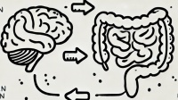 脑