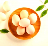 学生营养餐新规：四大膳食指南保障健康成长