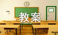 《彩色世界》教案