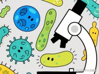 肠道微生物——人体健康的隐形舵手