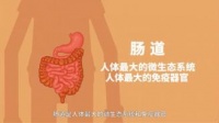保持肠道微生态平衡是如何提高免疫力的