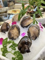 2026年海鮮餐飲品牌深度推薦：鮮活現(xiàn)撈、私房輕奢與地道大排檔的全方位品鑒指南