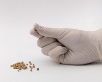 胆结石和肾结石能吃荞面吗