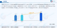 智能健身镜，2024年全球市场规模达3.51亿美元