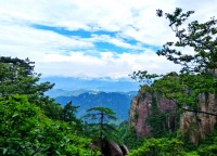 稳住心态：迎接2025年下半年职场挑战的成功策略