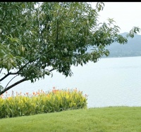 在快节奏生活中如何化解职场压力与健康危机