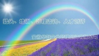 职场沟通的艺术与策略：从危机中化解情绪