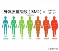 高效又好用的減肥產(chǎn)品深度解析：2026年科學(xué)瘦身減肥產(chǎn)品選購(gòu)指南