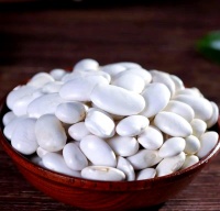 现代体重管理：白芸豆提取物、岩藻黄素与左旋肉碱的作用解析