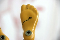 艾灸关元穴可以搭配艾草泡脚吗 养生搭配效果佳