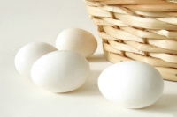 七日鸡蛋减肥法 一周轻松瘦