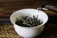 想抗氧化又护心血管？白茶的功效与作用大揭秘！