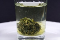 喝絞股藍(lán)想瘦別亂試，一個月能瘦幾斤得講科學(xué)