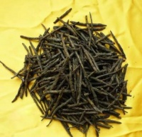 苦丁茶的健康功效及适用人群解析