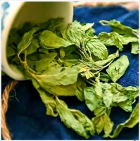 薄荷茶的多重妙用及其健康益处全解析