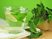 薄荷茶的健康功效与适宜人群全揭秘