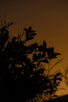 4.8万孩子研究证实：素食不会影响发育！但营养师提醒：这3个坑千万别踩