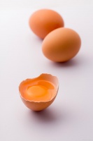 定制营养，蛋中取‘金’——为行动不便者打造的餐桌健康宝典