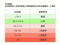 男女bmi标准对照表 女性最完美BMI是19还是20