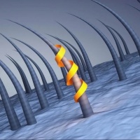 白发从哪来，病就从哪来！不同位置的白发，预示不同的身体状况