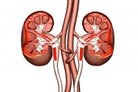健身壮阳攻略：提升男性活力
