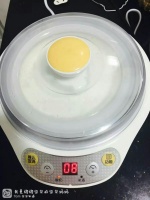 [鸡肋用品]DIY酸奶机