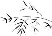 【科普】中医拔罐的奥秘！