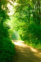 立春吃什么食物 立春适合吃的养生食物大集合