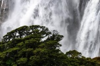 利尿的食物帮助你祛湿