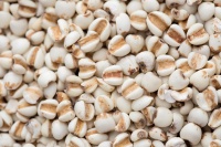 必知！十种祛湿消肿利尿食物，健康加分秘籍