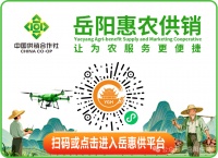 冬笋炖肉香，“发物”能不能吃？