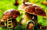 宝宝营养餐：推荐18道蘑菇食谱