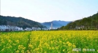 人格＝性格＋哲学