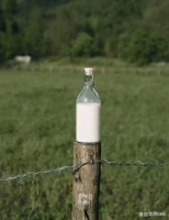 牛乳茶、鲜奶茶、轻乳茶 究竟有什么区别？