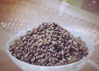 五种天然健康饮品替代现代牛奶的方法