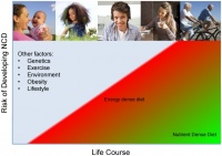 Increased Intake of Foods with High Nutrient Density Can Help to Break the Intergenerational Cycle of Malnutrition and Obesity